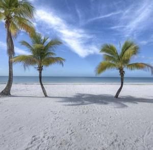 Meet your Posher, Troy